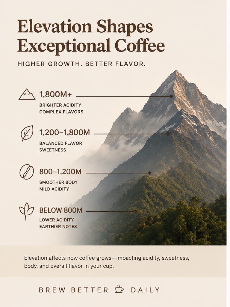 How elevation affects coffee flavor infographic